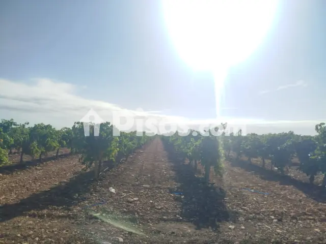 Finca rústica en venta en Alcázar de San Juan