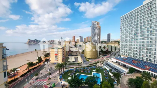 Apartamento en alquiler en Avenida de la República Argentina, 5, Platja de Ponent (Benidorm)
