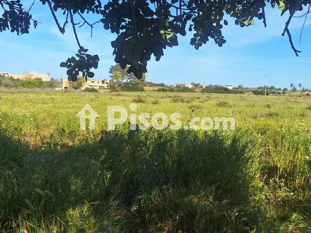 Terreno en venta en Porto Cristo, Porto Cristo (Manacor) de 450.000 €