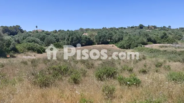 Finca rústica en venta en Son Carrió, Son Carrió (Sant Llorenç des Cardassar) de 25.000 €