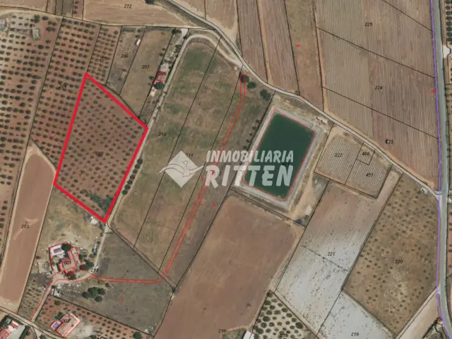 Terreno en venta en Carretera los Castillejos, Campo Nubla-Tallante (Distrito Pedanías Oeste. Cartagena) de 31.000 €