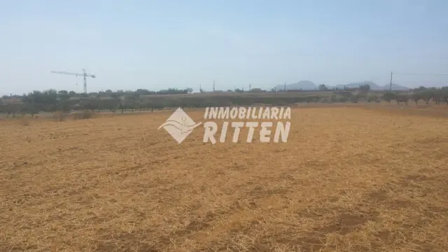 Terreno en venta en Cuesta Blanca- Camino A La Magdalena, El Palmero-San Isidro-La Magdalena (Distrito Pedanías Oeste. Cartagena) de 20.000 €