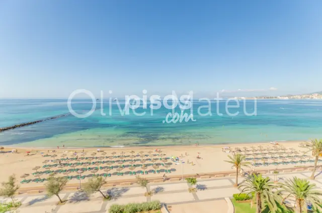 Piso en alquiler en Es Portixol-Es Molinar, Es Portixol-Es Molinar (Distrito Platja de Palma. Palma de Mallorca) de 4.500 €<span>/mes</span>