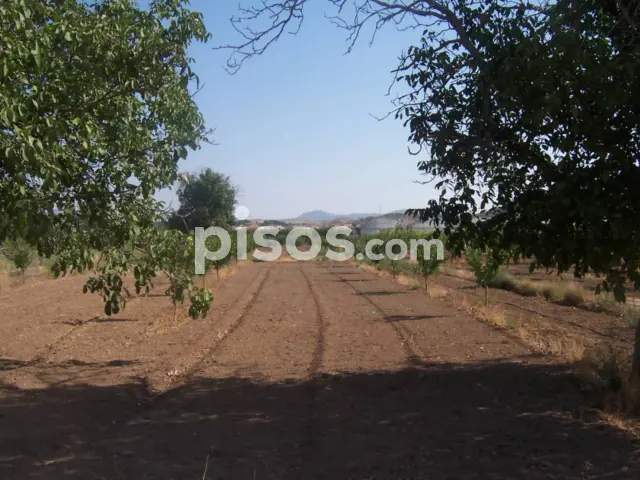 Finca rústica en venta en Pasaje Las Hoyuelas, Tobarra de 40.000 €