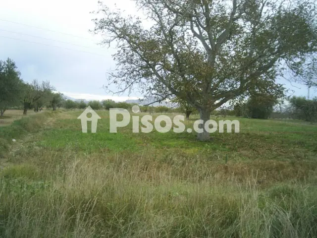 Finca rústica en venta en Pasaje Hoyuelas,