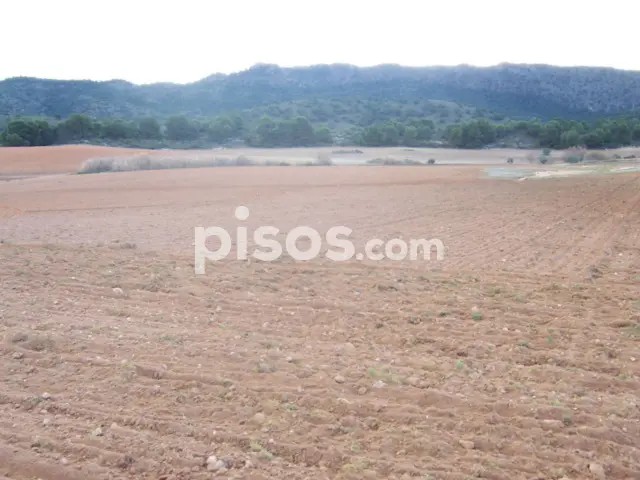 Finca rústica en venta en Carretera de la Tobarra, Tobarra de 1.356.000 €