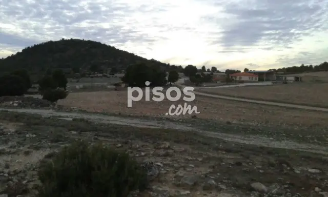 Finca rústica en venta en Calle Alatoz, Santa Cruz-San Antonio Abad-Industria, Cañicas (Albacete Capital) de 1.350.000 €