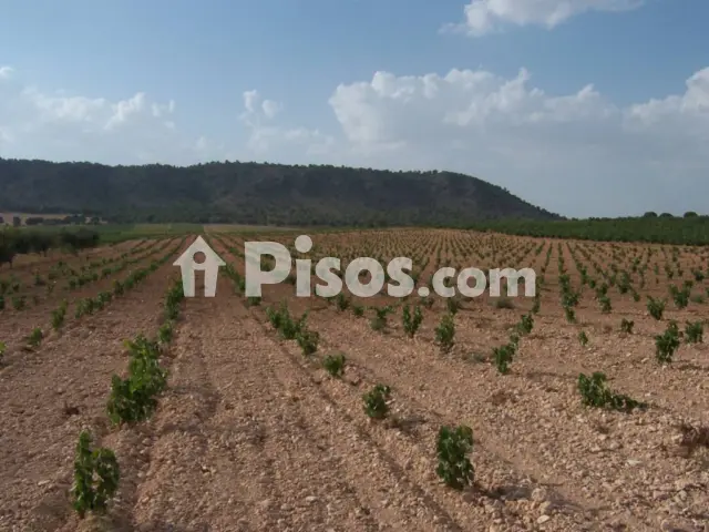 Finca rústica en venta en los Mardos,