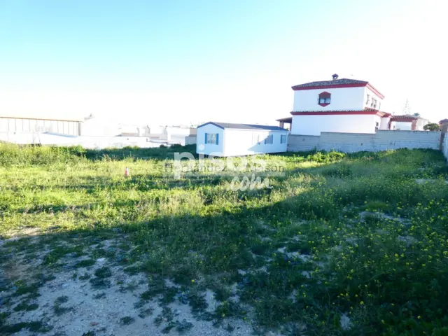 Terreno en venta en Cortijo de Maza-Finca Monsálvez-El Olivar, Cortijo de Maza-Finca Monsálvez-El Olivar (Distrito Churriana. Málaga Capital) de 320.000 €