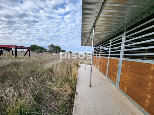 Finca rústica en venta en Polígono Alcantar, Fuente el Saz de Jarama de 75.000 €