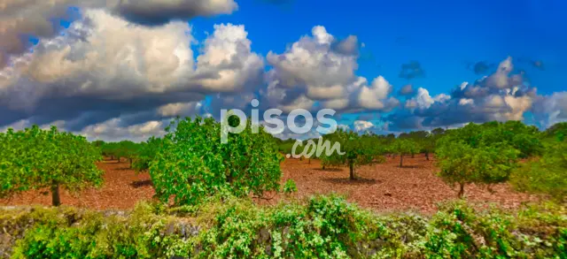 Finca rústica en venta en Polígono 16, Número 63, Porto Cristo (Manacor) de 945.000 €