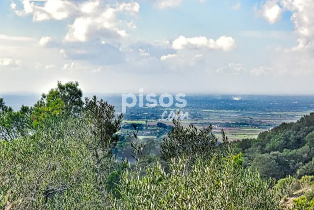 Finca rústica en venta en Polígono 34, Parcela 1254, Manacor de 485.000 €