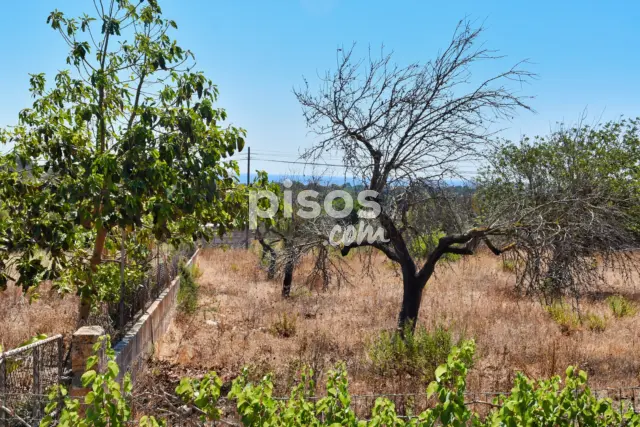 Casa rústica en venta en Calle Ma 4040, Kilómetro 10, Son Servera de 1.499.000 €