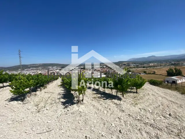 Casa - Vista 2