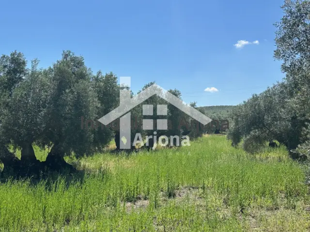 Casa – Lucena - Vista 2