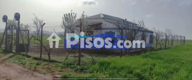 Finca rústica en venta en Calle Carretera de Daimiel A 10 Km