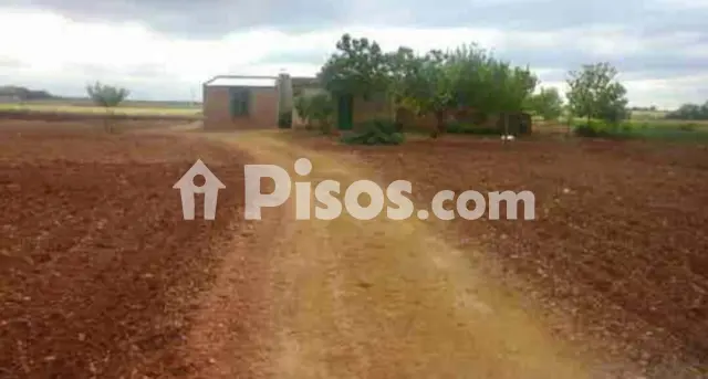 Terreno en venta en Membrilla