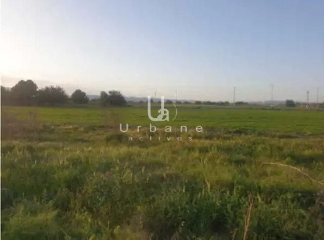 Finca rústica en venta en Calle del Molino de Valladolises, 1, Valladolises y Lo Jurado (Distrito Campo de Murcia. Murcia Capital) de 136.000 €