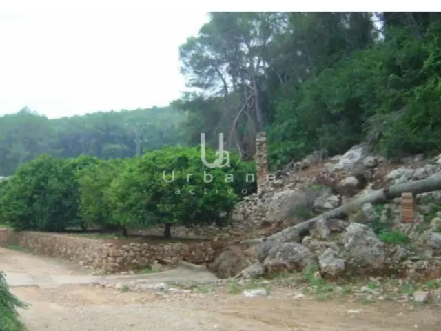 Finca rústica en venta en Calle Casella, El Respirall-Santa Maria de Bonaire-El Racó (Alzira) de 16.000 €