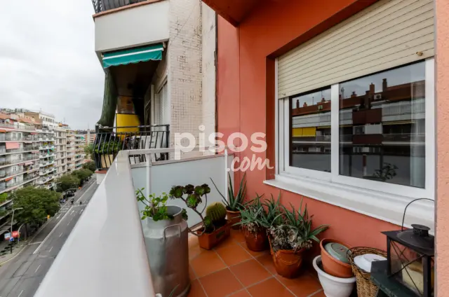 Piso en venta en Avinguda de Madrid, cerca de Carrer de Violant d'Hongria Reina d'Aragó, Sants-Badal (Distrito Sants-Montjuïc. Barcelona Capital) de 553.000 €