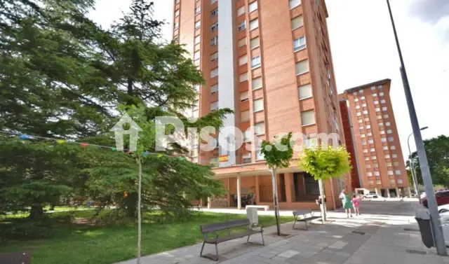 Local comercial en alquiler en Calle de los Trigales, número SN, San Juanillo-Pan y Guindas (Palencia Capital) de 450 €<span>/mes</span>