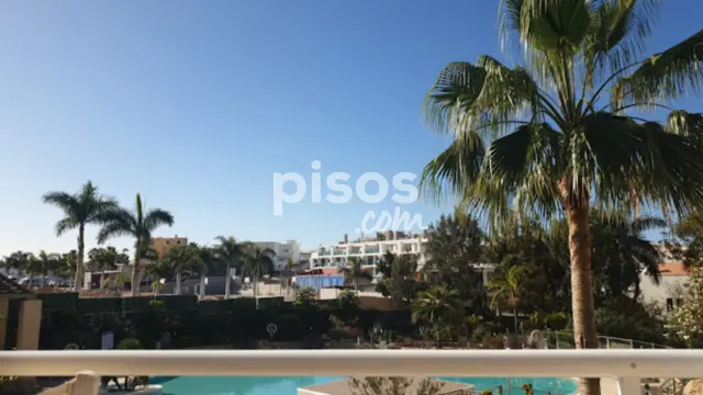 Piso en alquiler en Carretera Fañabé a la Caleta Tr A, Costa Adeje (Adeje) de 1.850 €<span>/mes</span>