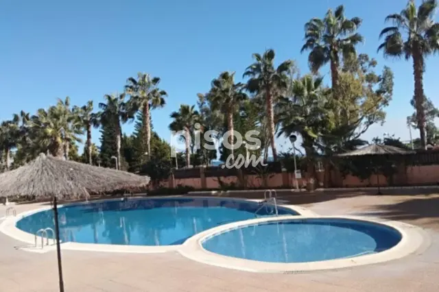 Apartamento en alquiler en Calle Amplaries, 27, Marina d'Or (Orpesa - Oropesa del Mar) de 695 €<span>/mes</span>