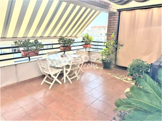 Ático en alquiler en Carrer de Menorca, Papa Luna (Benicarló) de 430 €