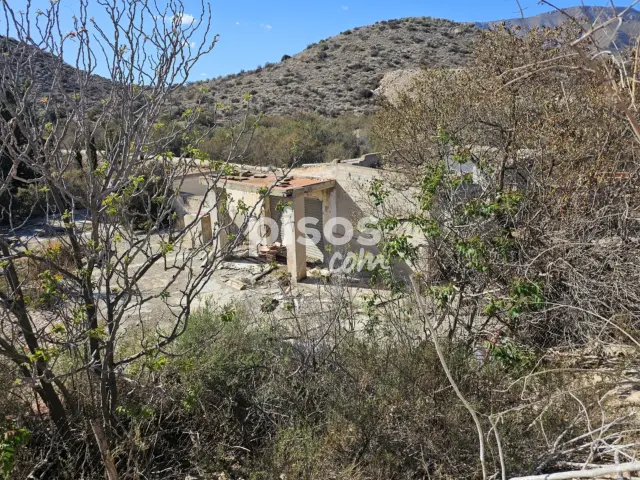 Casa en alquiler en Calle Pozo Blanco, Monforte del Cid de 300 €<span>/mes</span>