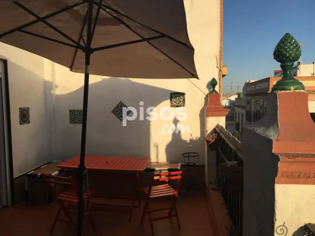 Ático en alquiler en Calle Antonio Susillo, San Gil (Distrito Casco Antiguo. Sevilla Capital) de 990 €