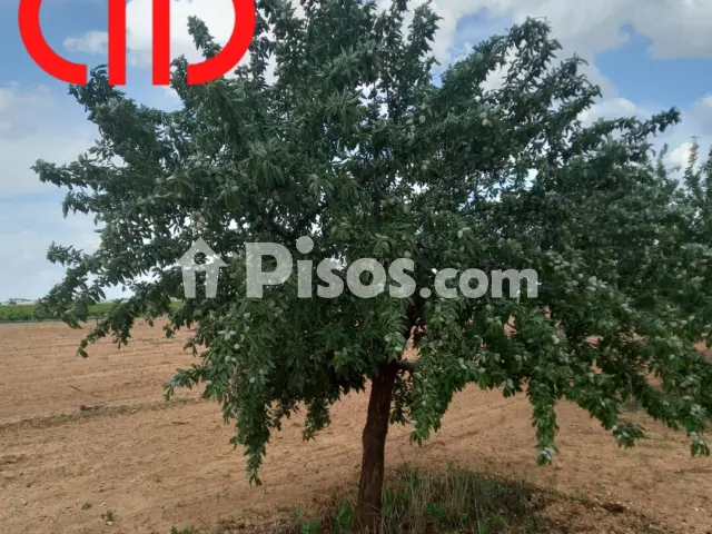 Terreno en venta en Calle de Francisco García Pavón, 112, cerca de Calle de la Estación