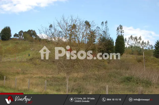 Terreno en venta en Resto Provincia de Asturias - Villaviciosa, Selorio (Villaviciosa) de 80.000 €