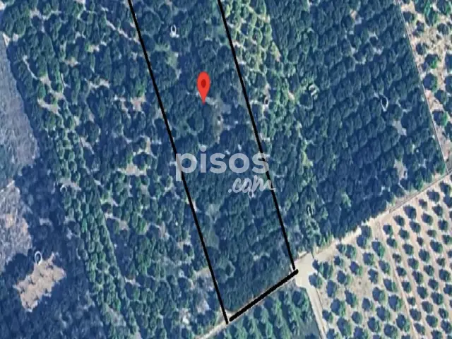 Finca rústica en venta en Polígono Numero 51, Carcaixent