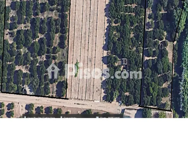 Finca rústica en venta en Polígono Polígono 70, Carcaixent