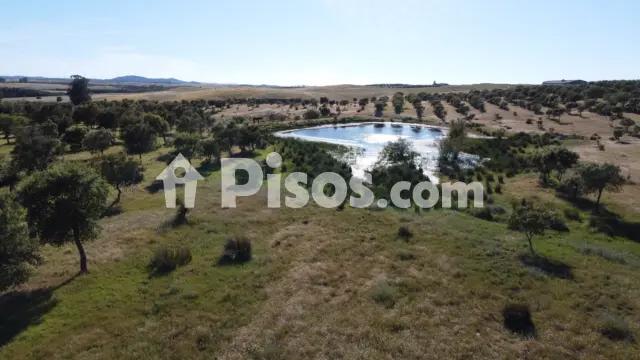 Chalet rústico en venta en Puebla de Guzmán