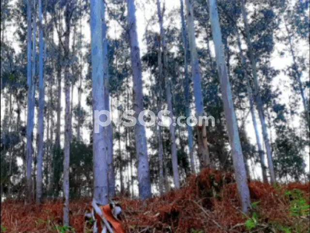 Terreno en venta en Calle de Pedra, Cariño de 16.000 €