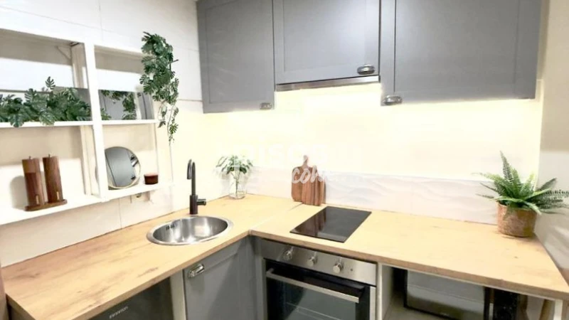 Piso en alquiler en Embajadores-Lavapiés