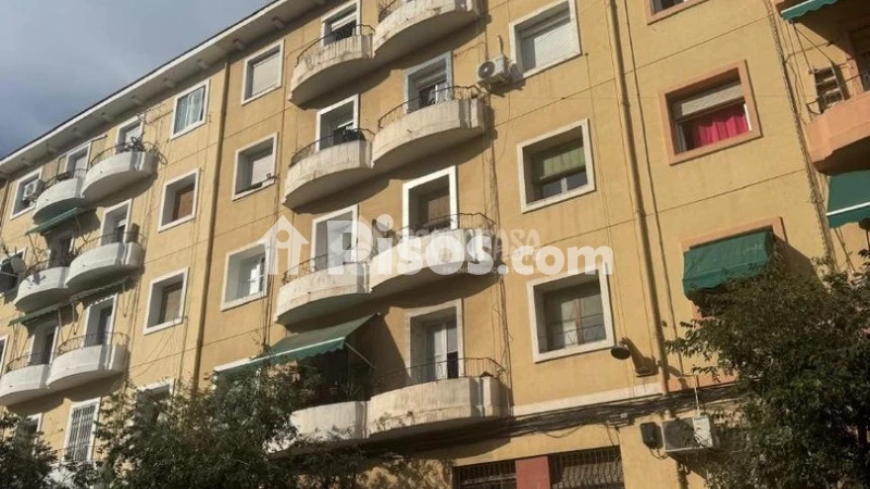Pis – Alicante - Alacant