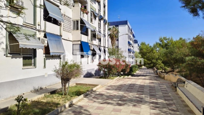 Piso – Alicante - Alacant