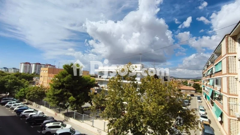 Pis – Alicante - Alacant