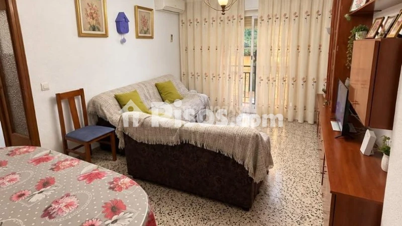Pis – Alacant / Alicante, Campoamor, l'Alacantí