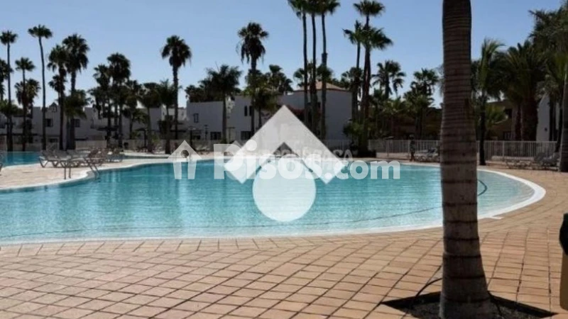 Fotografía del inmueble reportado: 1.250 €/mes — Las Palmas, Las Palmas
