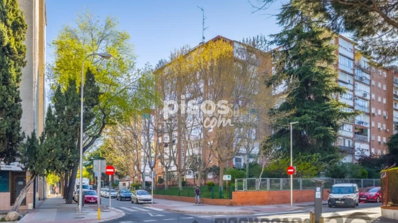 Piso en alquiler en San Pascual