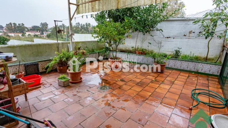 Casa unifamiliar en venta en Calle de Azucena - Vista 3