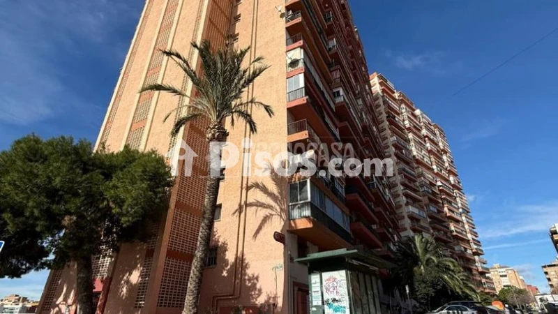 Pis – Alicante - Alacant