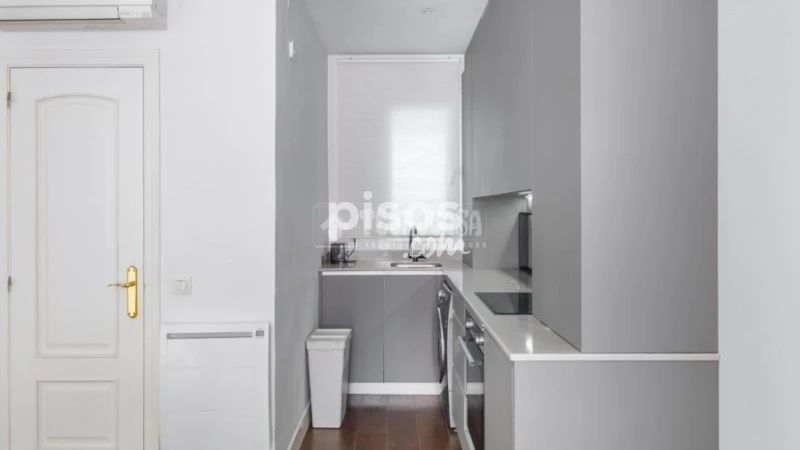 Piso en alquiler en Embajadores-Lavapiés