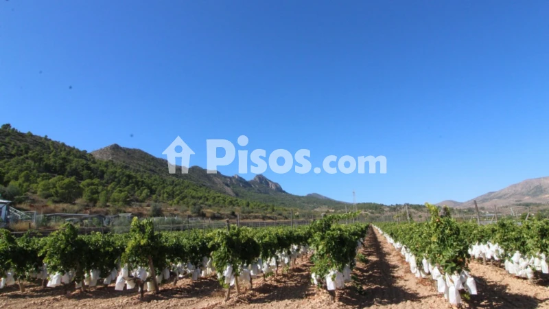 Terreno en venta en Partida de La Boquera