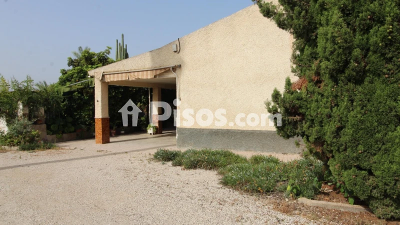 Casa – Elche, Algoda