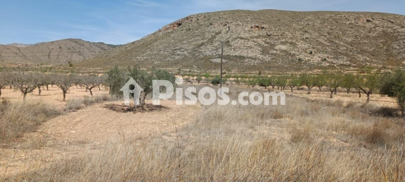 Terreno en venta en Barbarroja