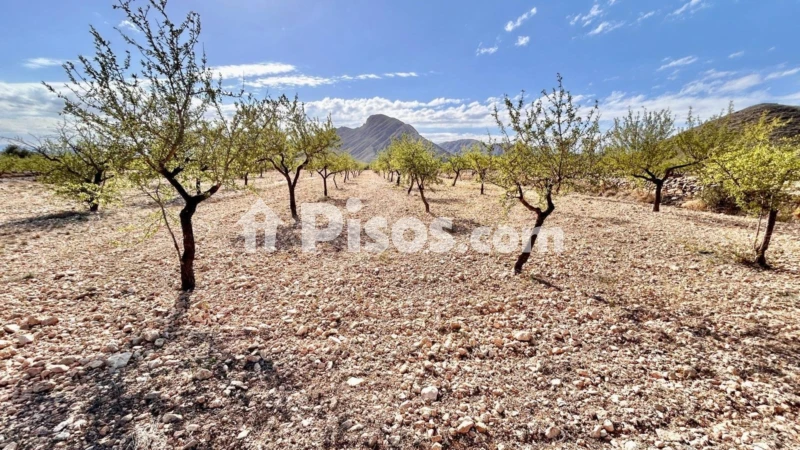 Terreno en venta en Barbarroja